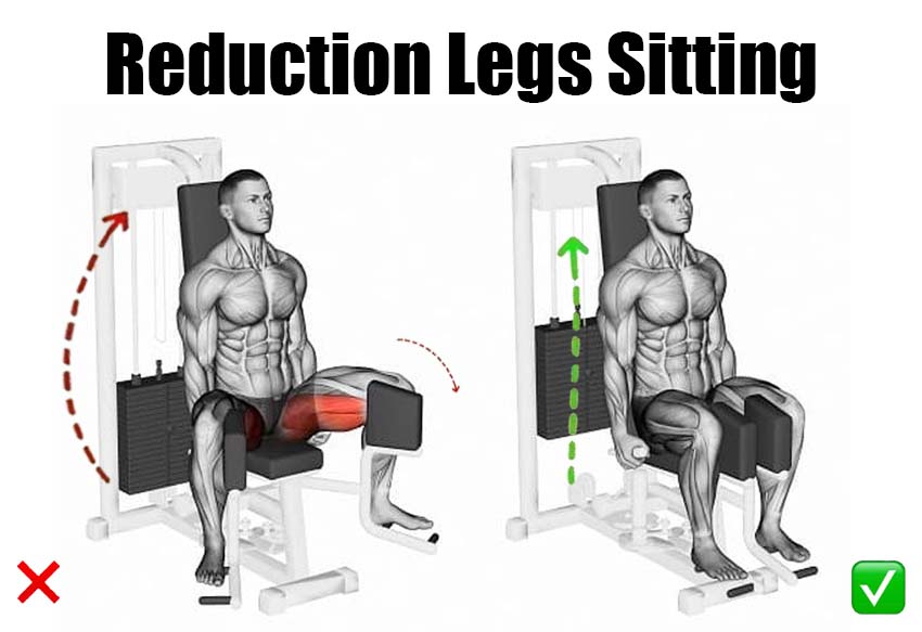 Reduction Legs