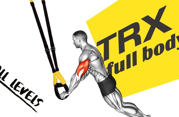 How to Do TRX Full Body Workout