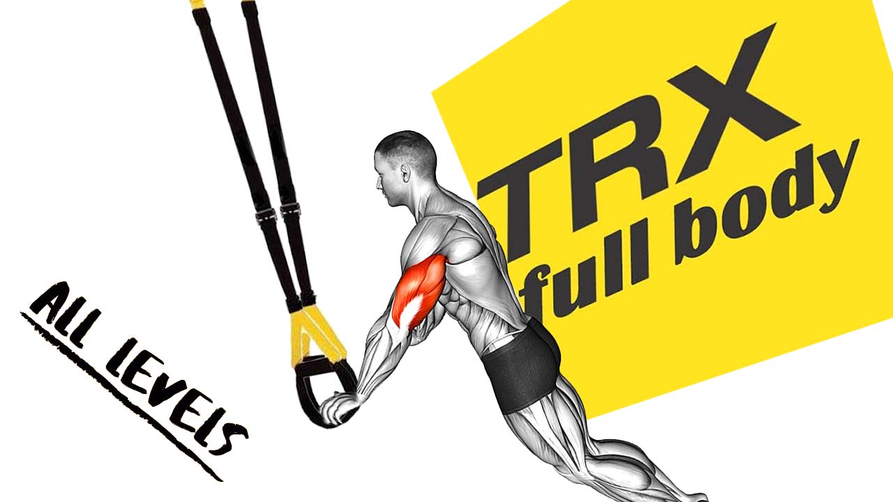 How to Do TRX Full Body Workout
