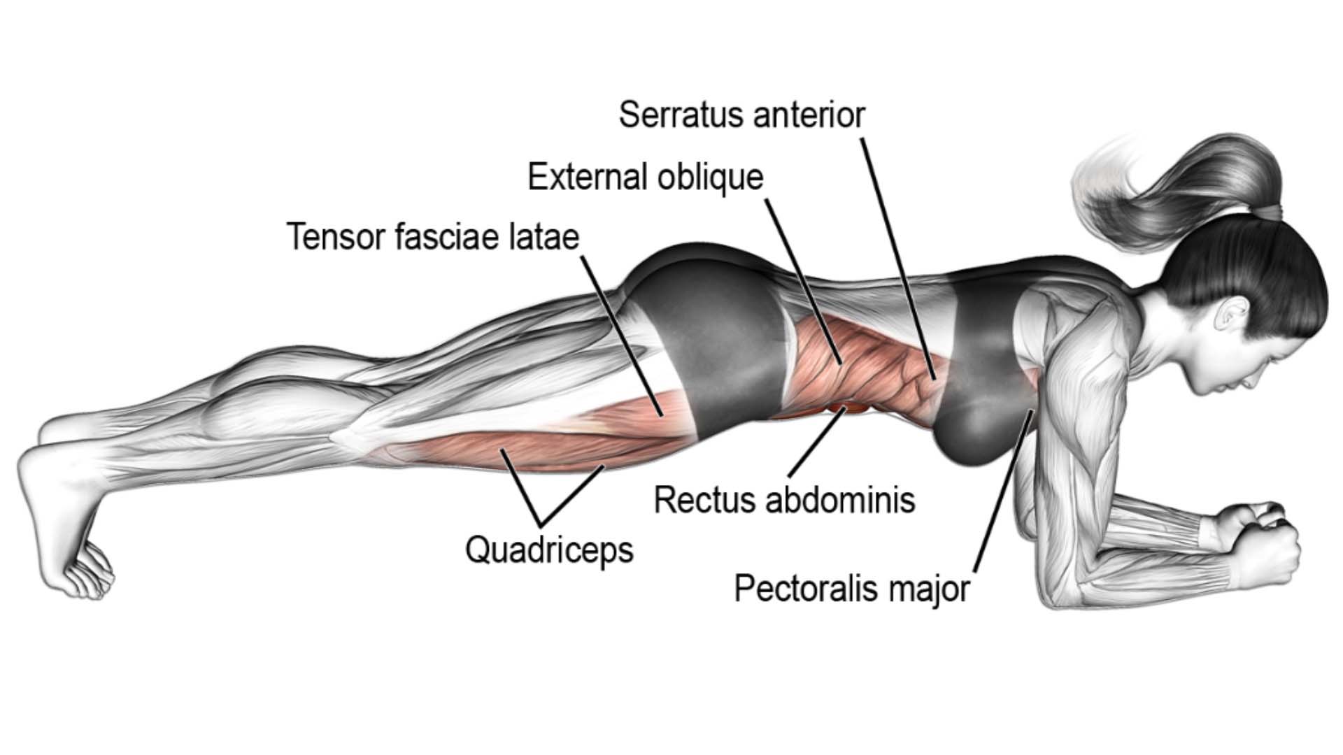 How to Do plank