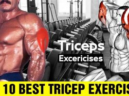 10 Best Triceps Workout