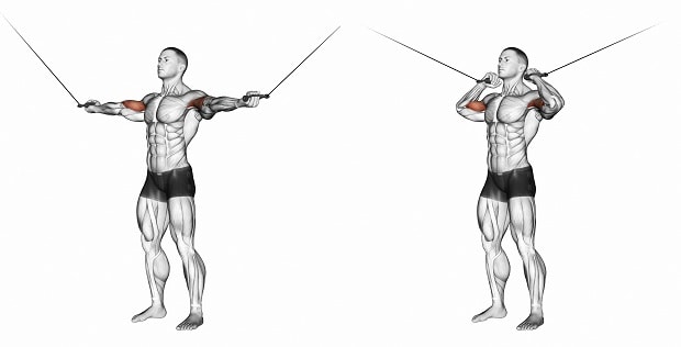 How to Do Biceps Cable Curl