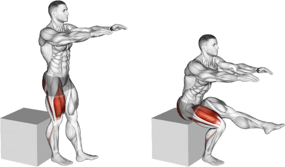 How to Do Pistol Squat To Box