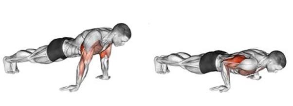 How to Do Reverse push-ups