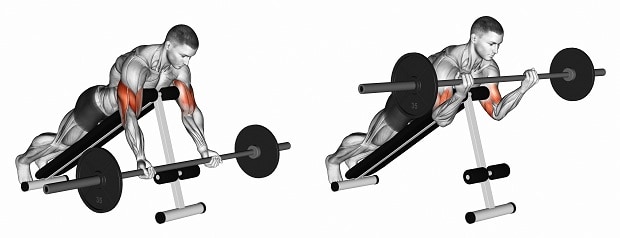 How to Do Reversed Incline Bench Barbell Curls