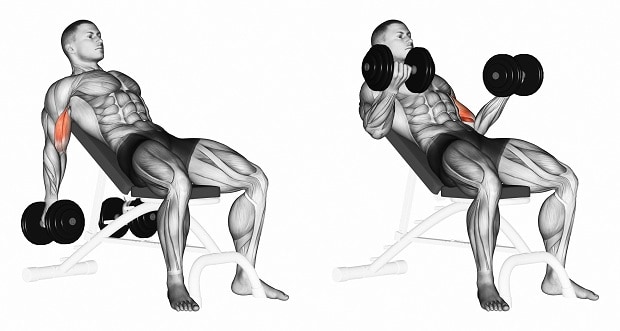 How to Do Dumbbell Curl