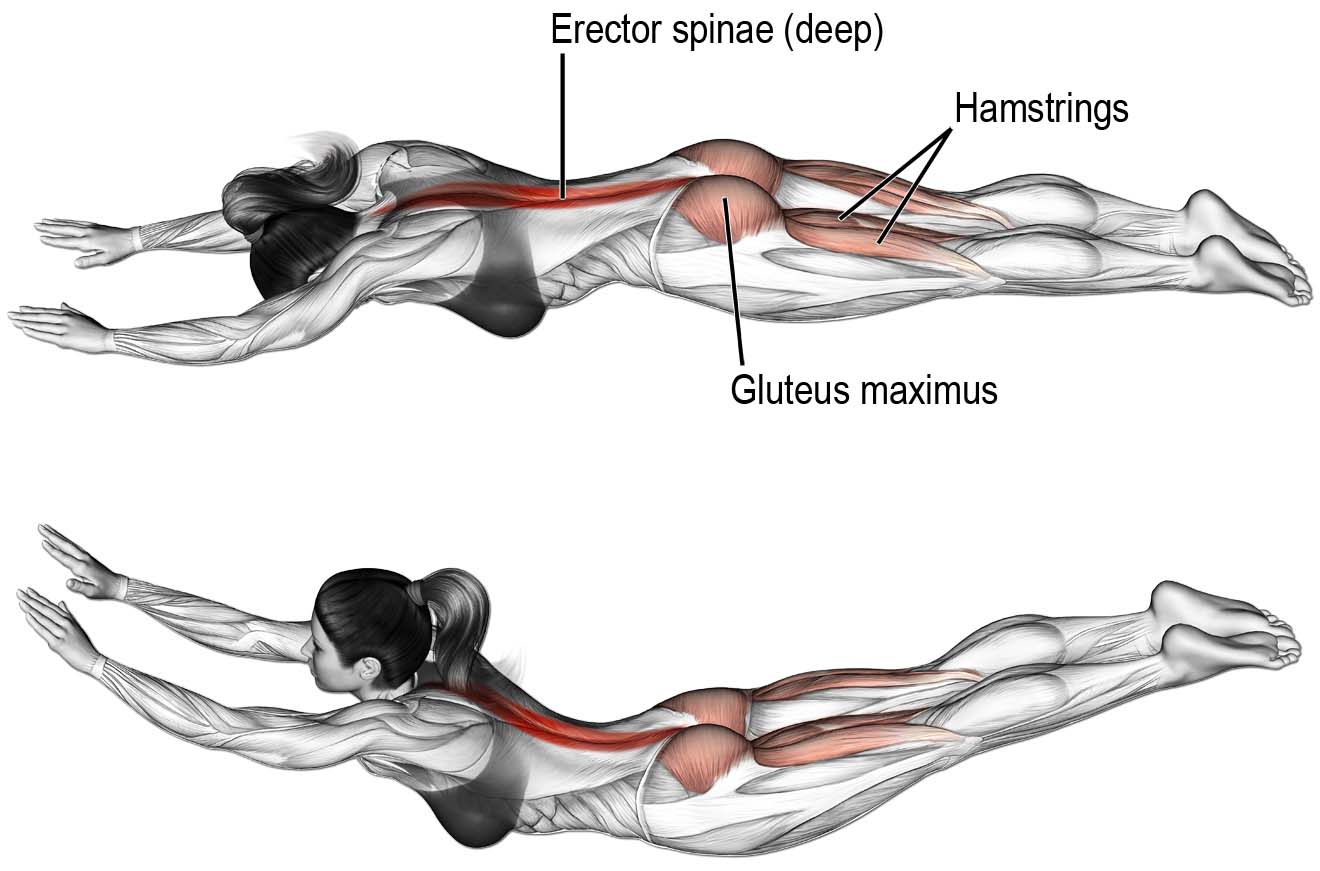 How to Do Superman Workout