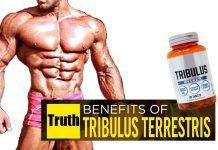 The Truth About Sport Nutrition Tribulus Tribulus