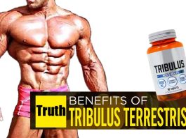 Tribulus