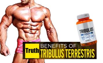The Truth About Sport Nutrition Tribulus Tribulus
