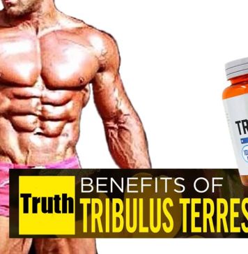 The Truth About Sport Nutrition Tribulus Tribulus