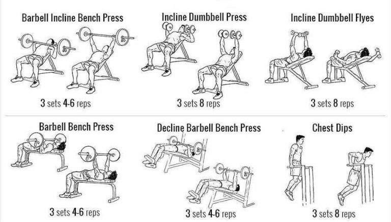 How to Make a Training Plan 1 Week Chest Workout - The Weight Loss and ...