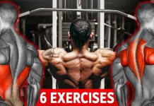 The Beginner-Friendly Back Workout Routine Focuses on Building Width The Beginner-Friendly Back Workout Routine Focuses on Building Width