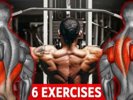 The Beginner-Friendly Back Workout Routine Focuses on Building Width