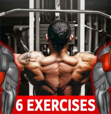 The Beginner-Friendly Back Workout Routine Focuses on Building Width The Beginner-Friendly Back Workout Routine Focuses on Building Width