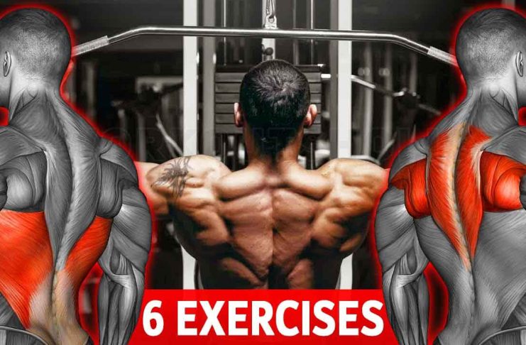 The Beginner-Friendly Back Workout Routine Focuses on Building Width