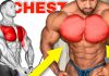 How to Make a Training Plan 1 Week Chest Workout chest exercises