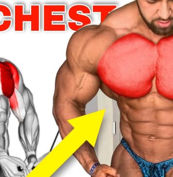 How to Make a Training Plan 1 Week Chest Workout chest exercises